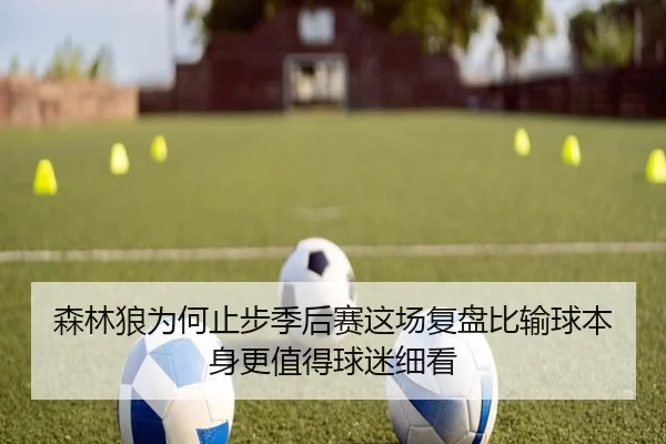 森林狼为何止步季后赛这场复盘比输球本身更值得球迷细看