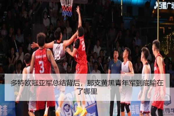 多特欧冠亚军总结背后，那支黄黑青年军到底输在了哪里